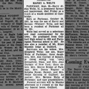 Obituary for HARRY Welts